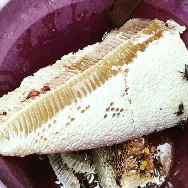 0d574ee5-a305-48fe-9d5b-a705b8ac02b4