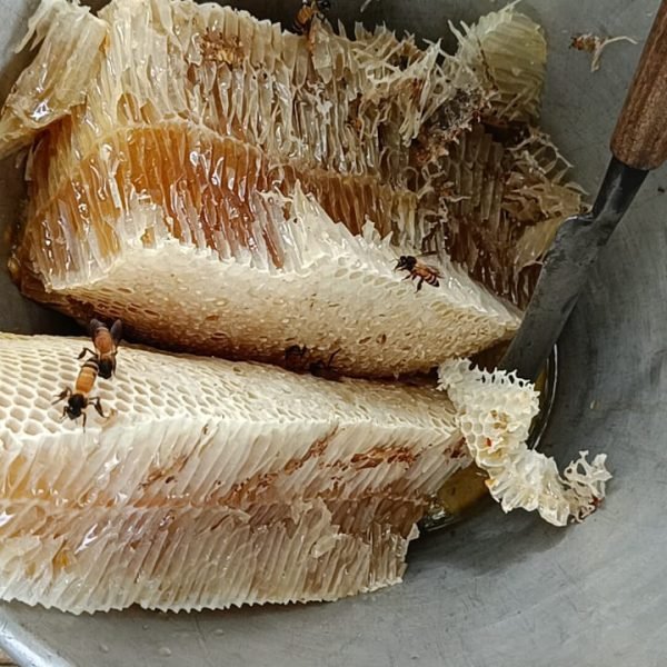 6390e9c5-ece6-4c5d-9381-35b8439b34fc