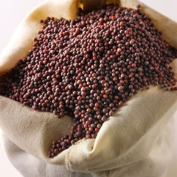 bffbf513-4180-4c10-bc8d-6c25e4f33e2f