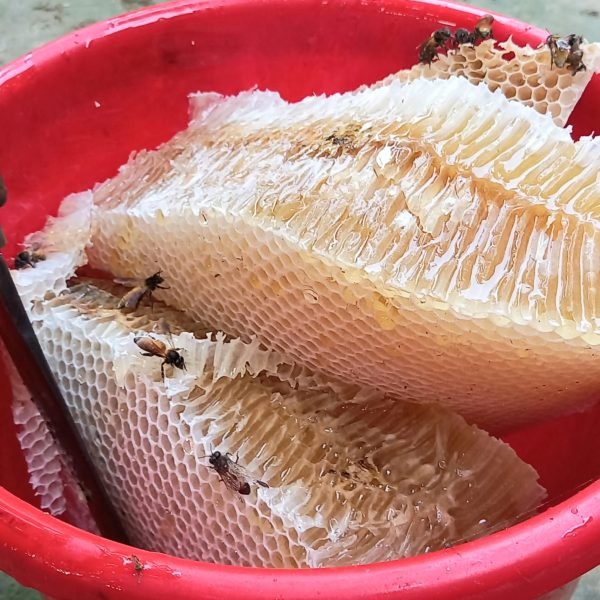 cc334274-a3ff-4ec9-bf89-ab126ec2e243